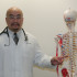 Are Chiropractors Real Doctors?   
