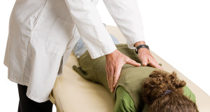 What Can an Osteopath Heal?